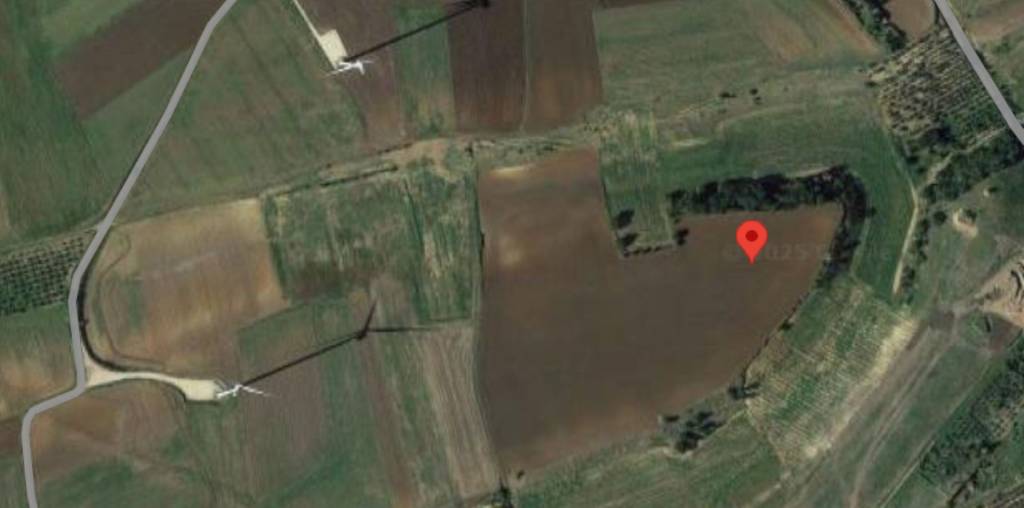 immagine annuncio 2 di 13