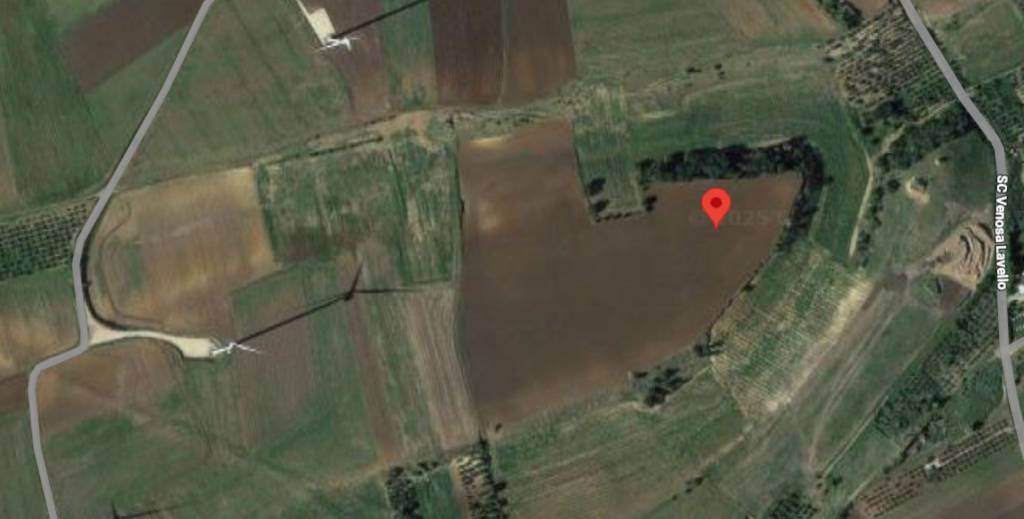 immagine annuncio 3 di 13