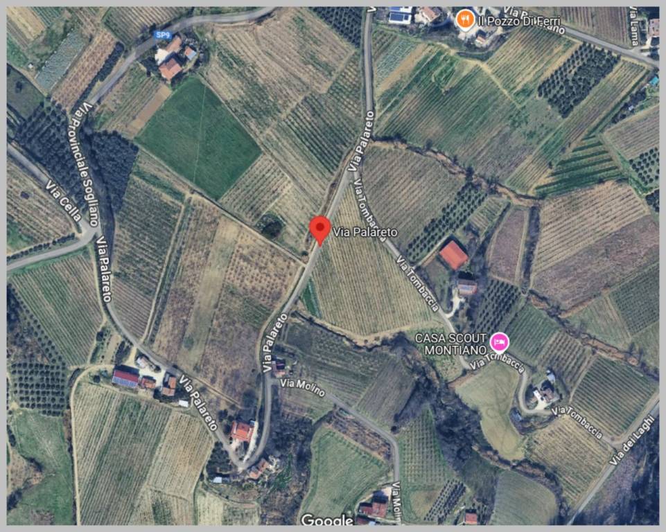 immagine annuncio 6 di 15