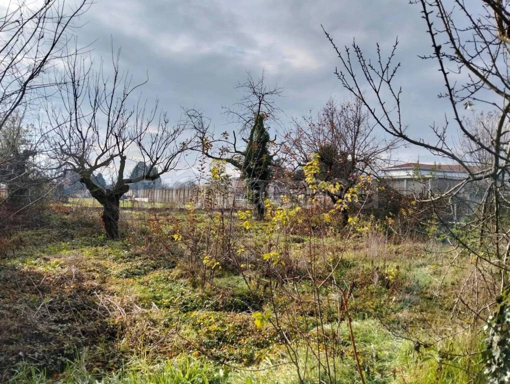 immagine annuncio 2 di 8