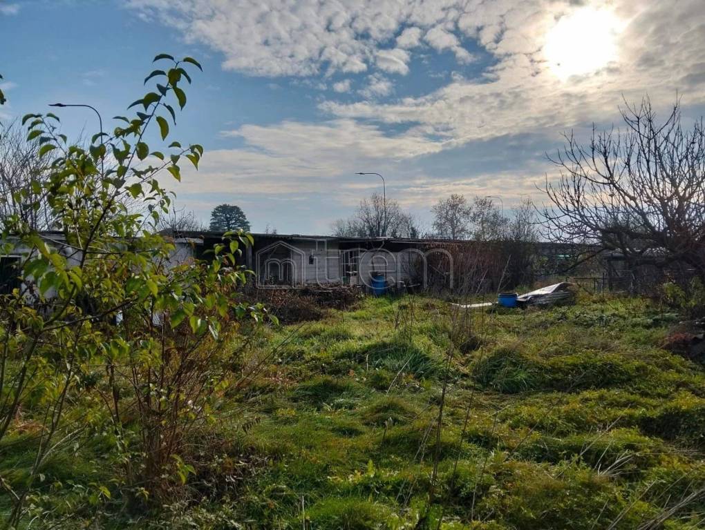 immagine annuncio 3 di 8