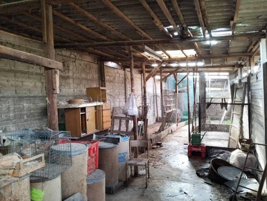 immagine annuncio 5 di 8