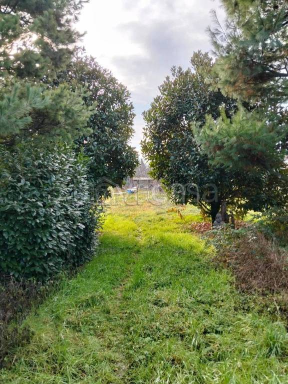 immagine annuncio 7 di 8