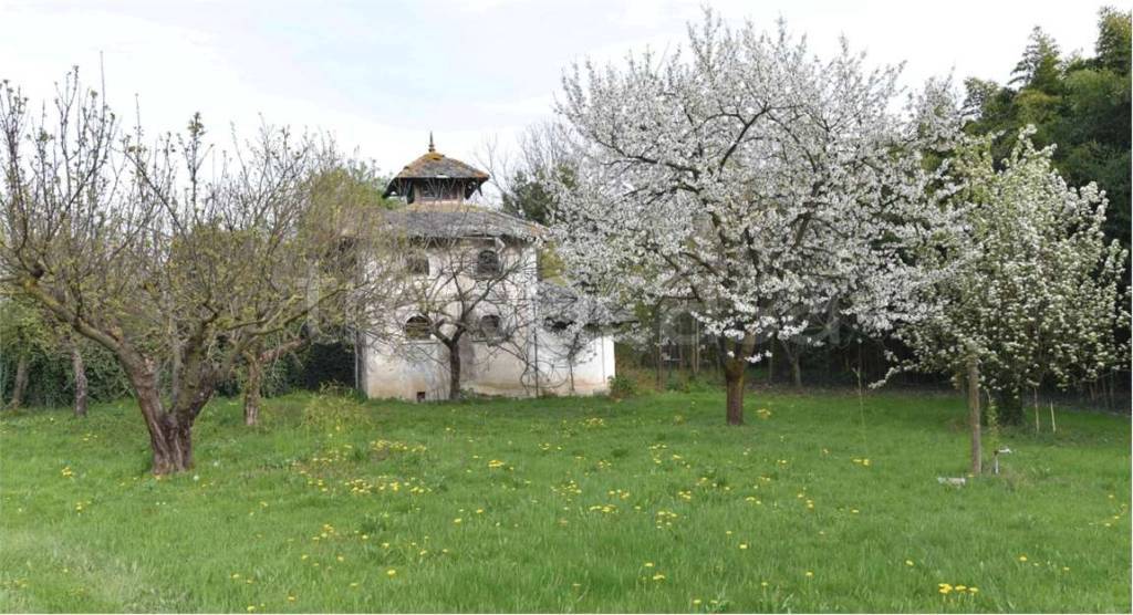 immagine annuncio 9 di 15