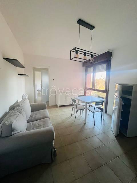 immagine annuncio 2 di 14