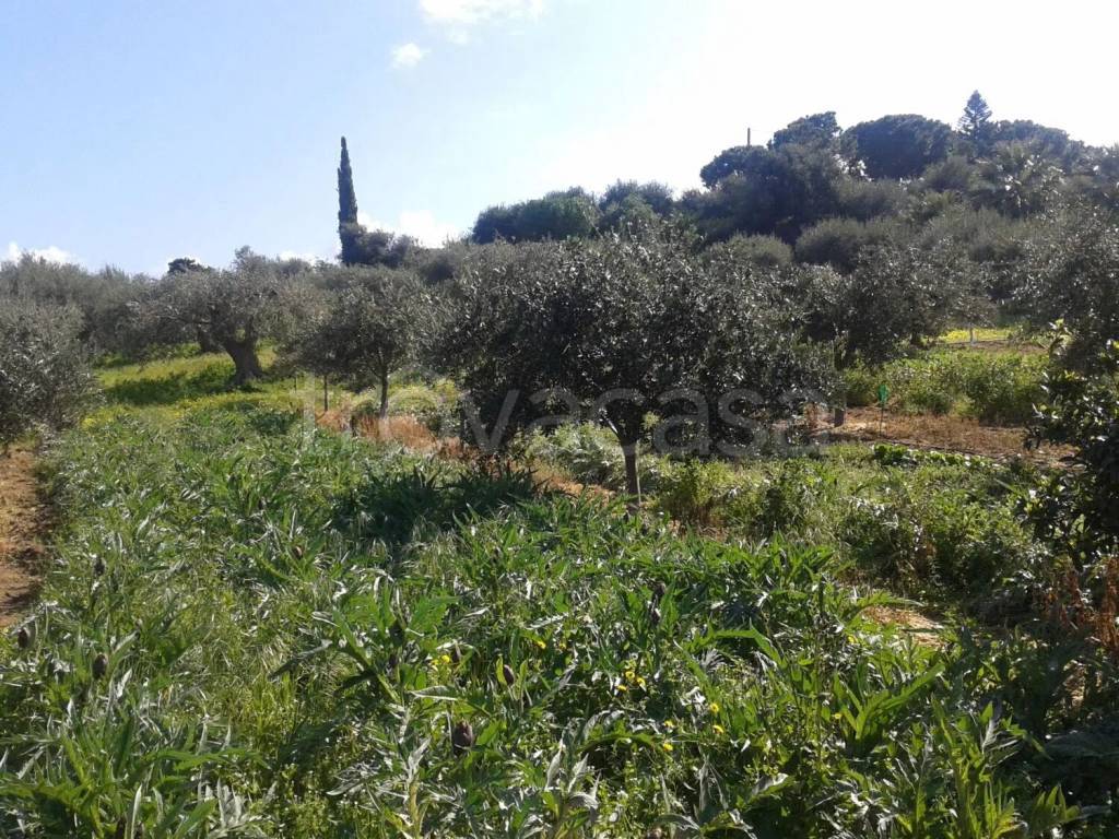 immagine annuncio 4 di 12