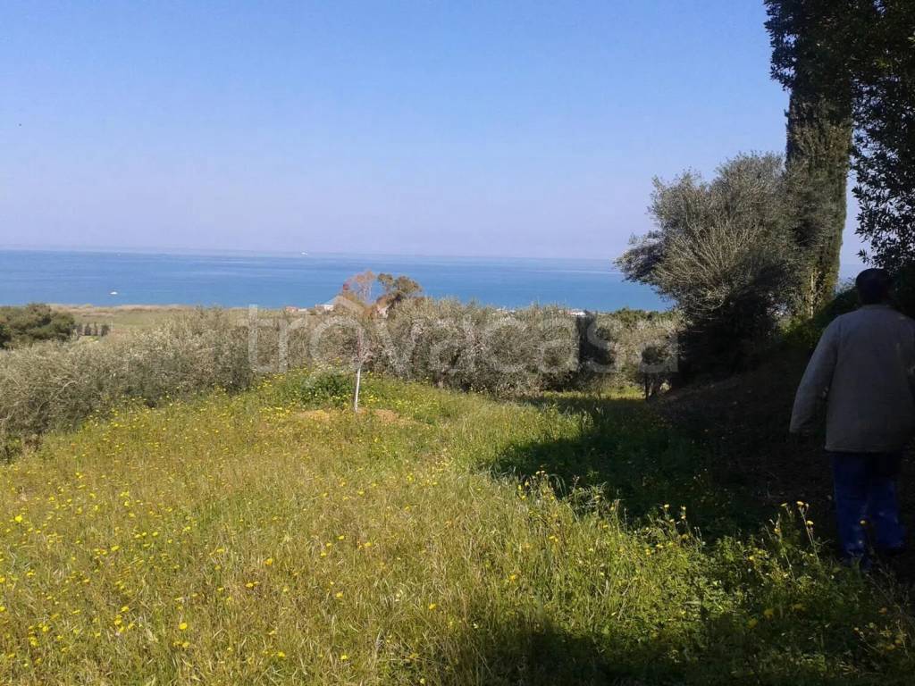 immagine annuncio 7 di 12