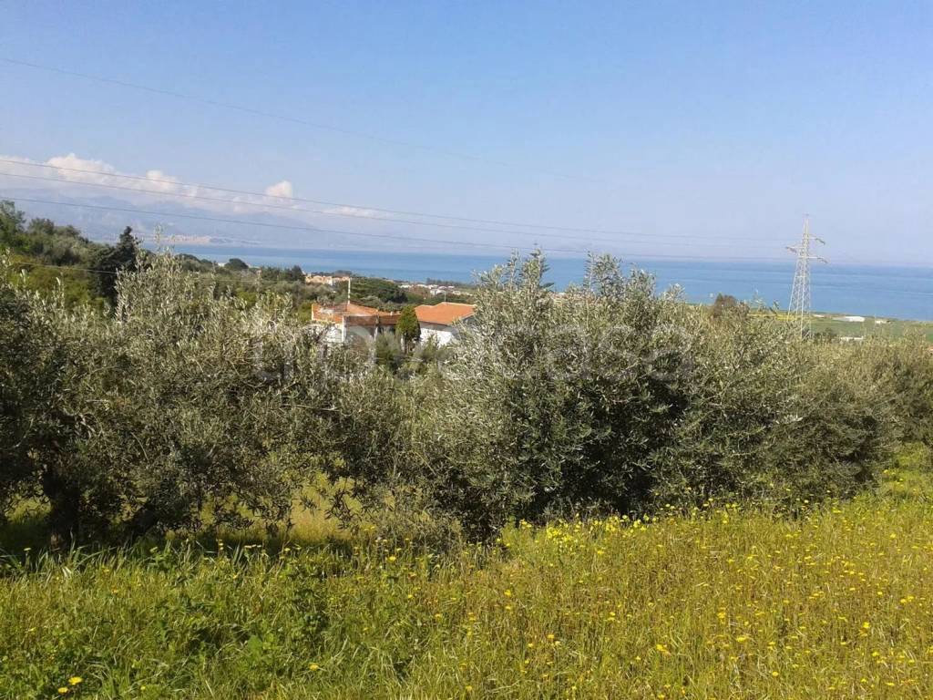 immagine annuncio 8 di 12