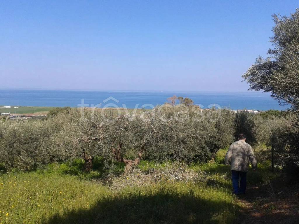 immagine annuncio 9 di 12