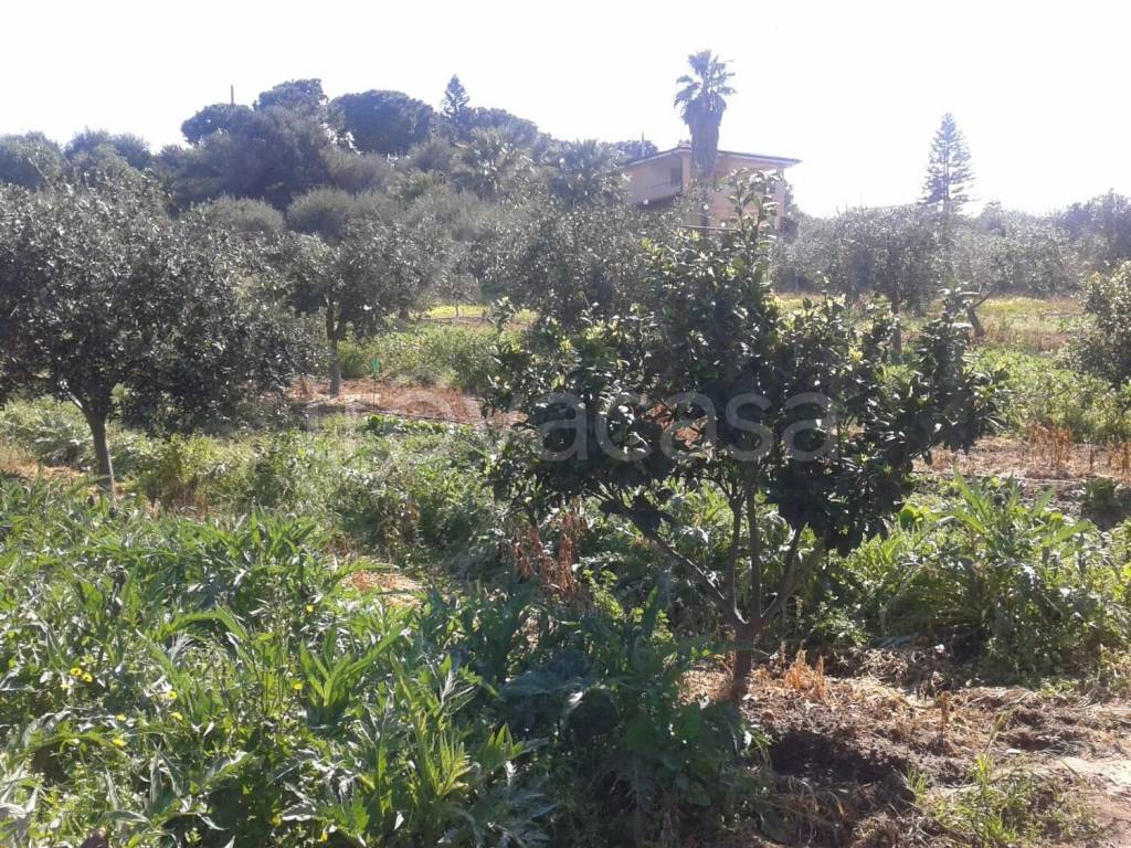 immagine annuncio 10 di 12