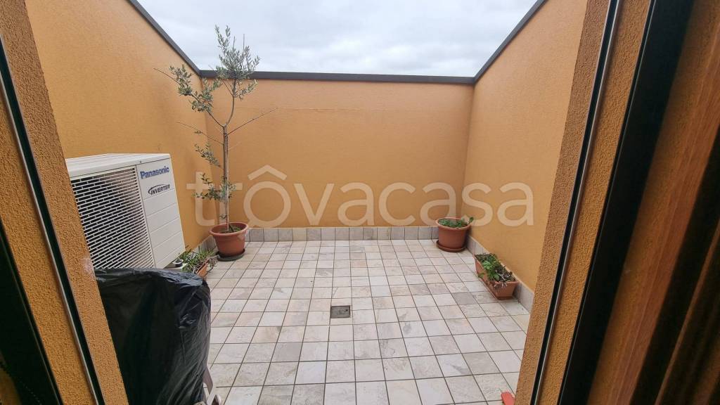 immagine annuncio 11 di 14