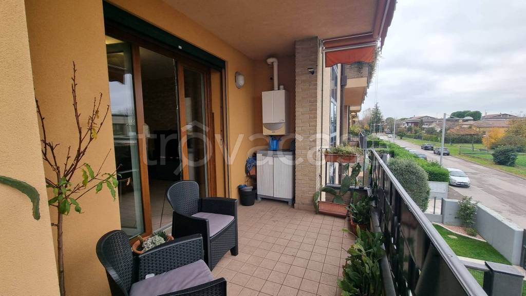 immagine annuncio 3 di 14