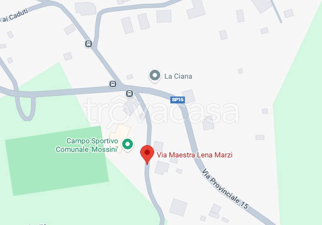 immagine annuncio 5 di 11