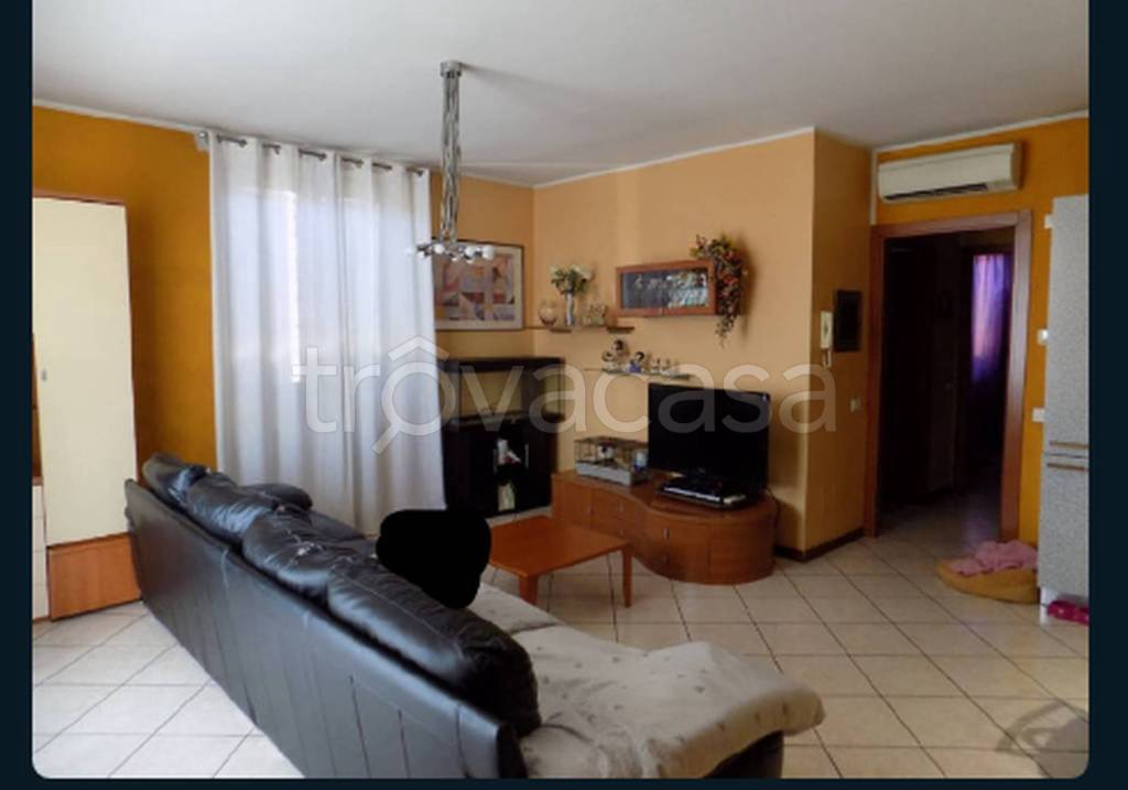 immagine annuncio 10 di 11