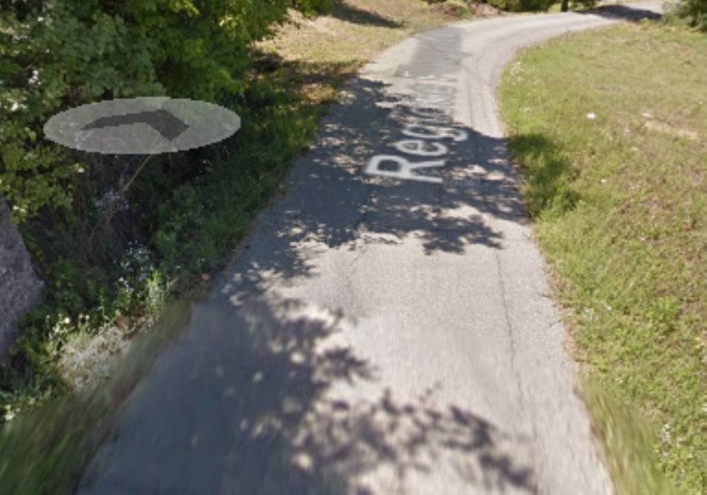 immagine annuncio 3 di 11