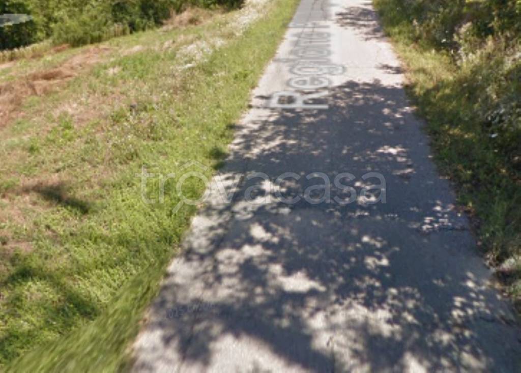 immagine annuncio 5 di 11