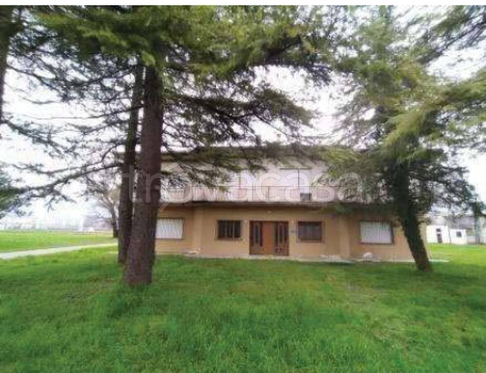 immagine annuncio 3 di 11