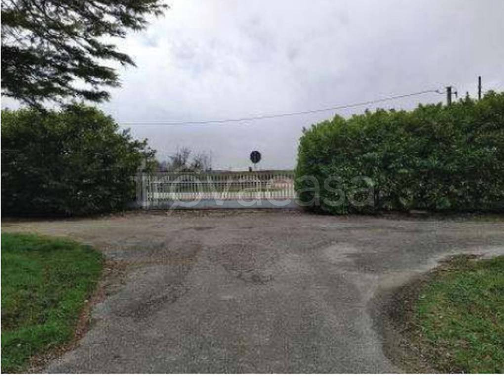 immagine annuncio 6 di 11