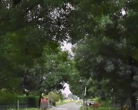 immagine annuncio 2 di 11