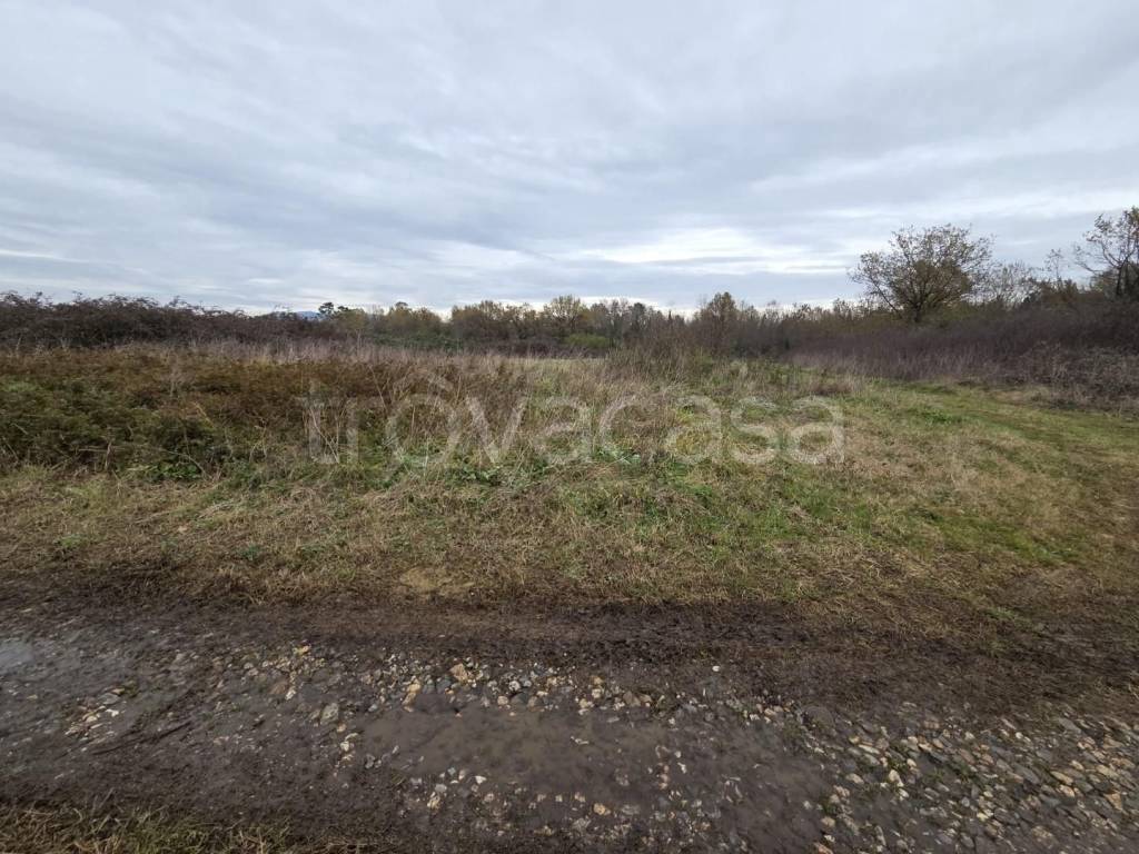 immagine annuncio 1 di 7