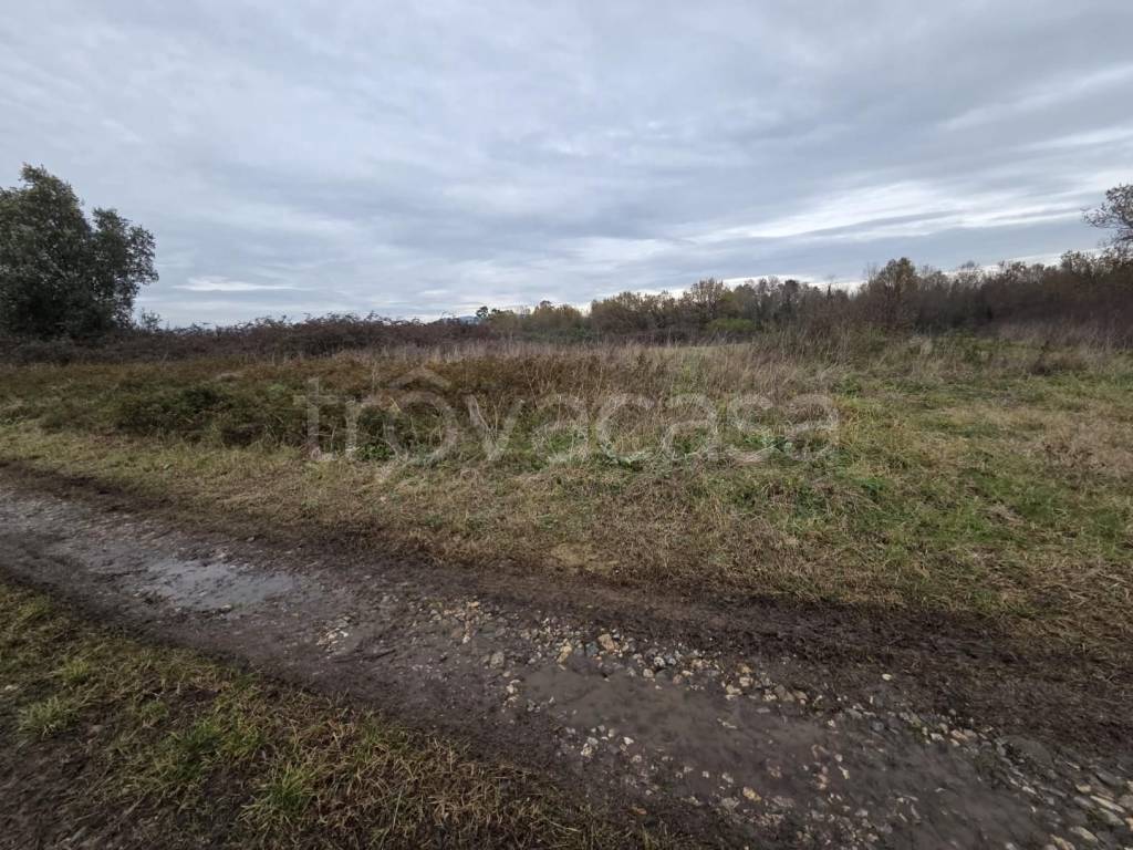 immagine annuncio 2 di 7