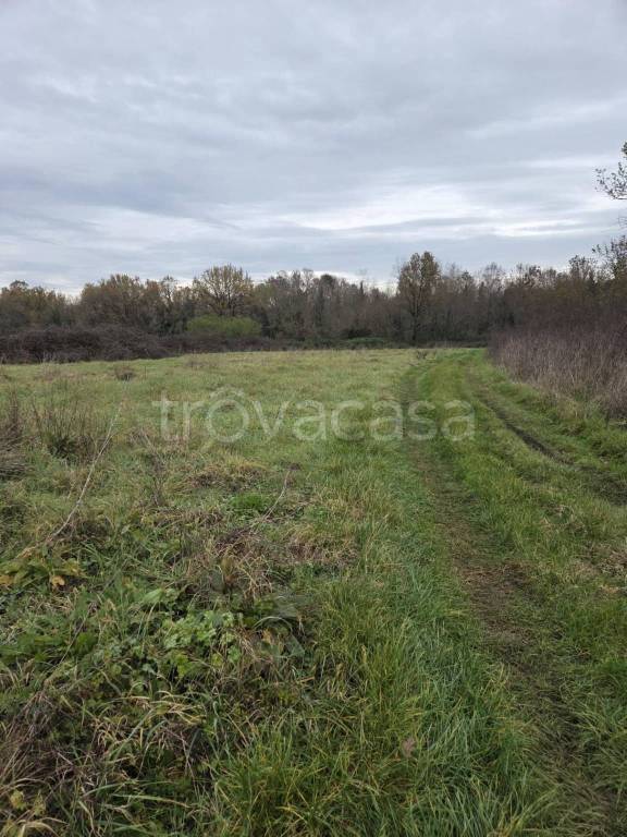 immagine annuncio 3 di 7