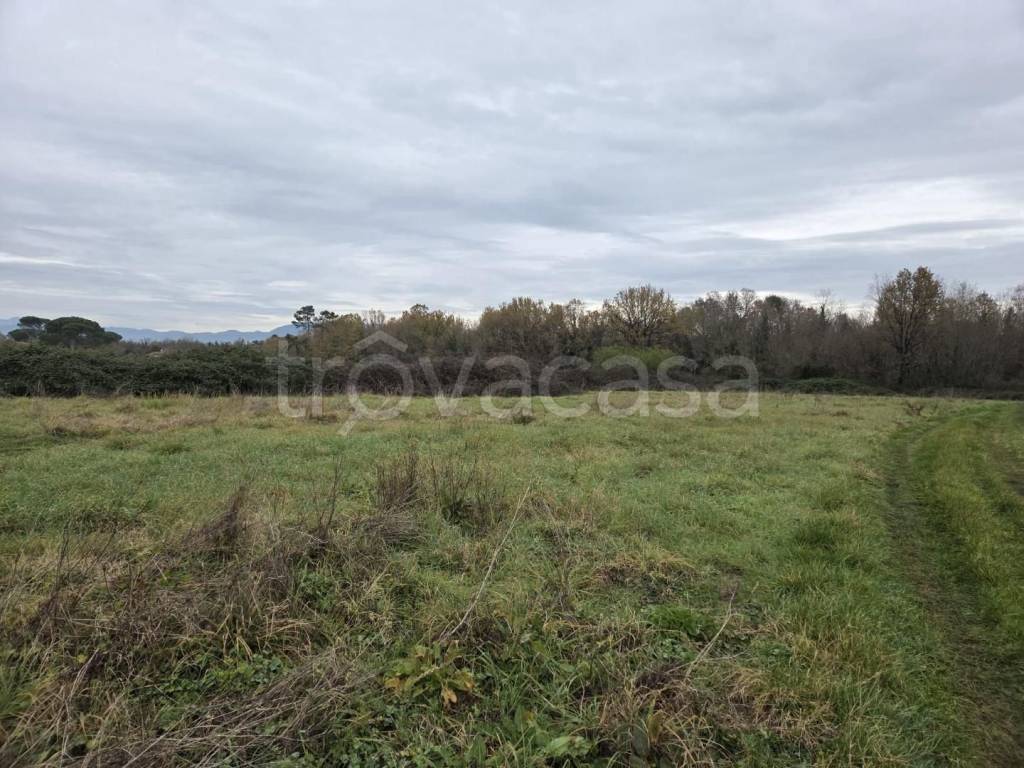 immagine annuncio 4 di 7