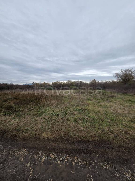 immagine annuncio 5 di 7