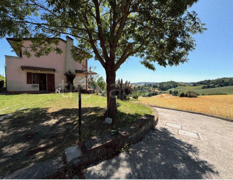 immagine annuncio 8 di 9