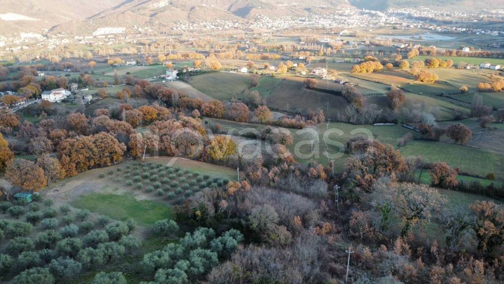 immagine annuncio 5 di 11