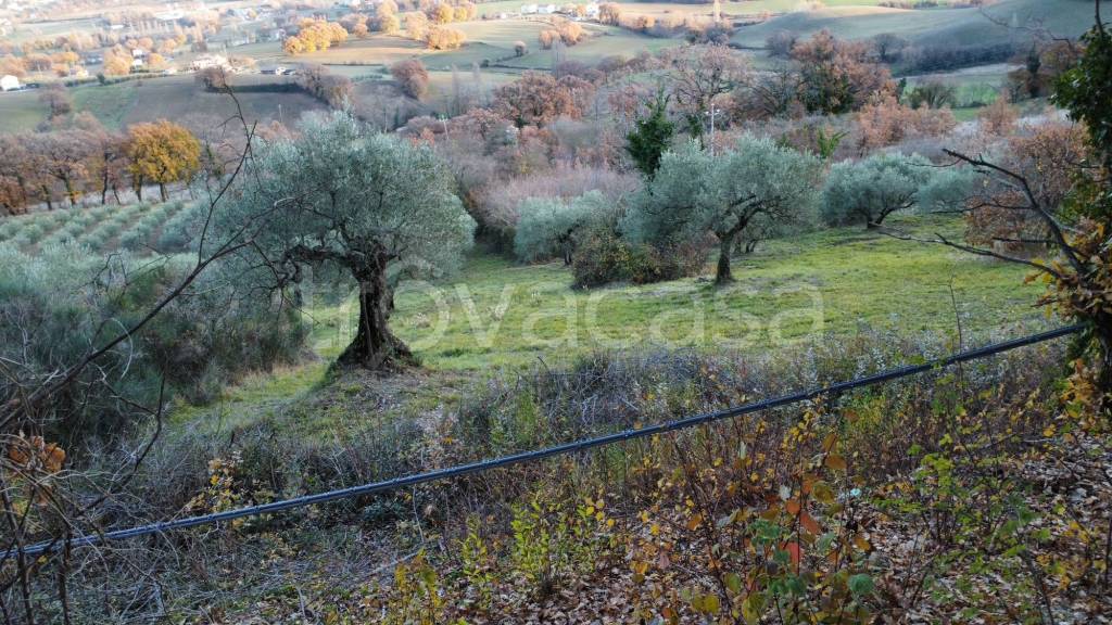 immagine annuncio 10 di 11