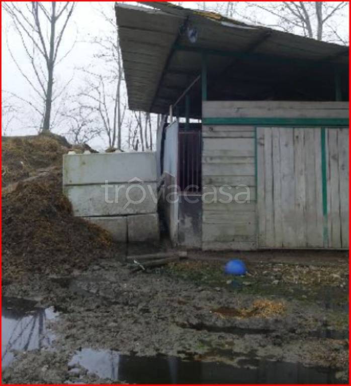 immagine annuncio 3 di 12