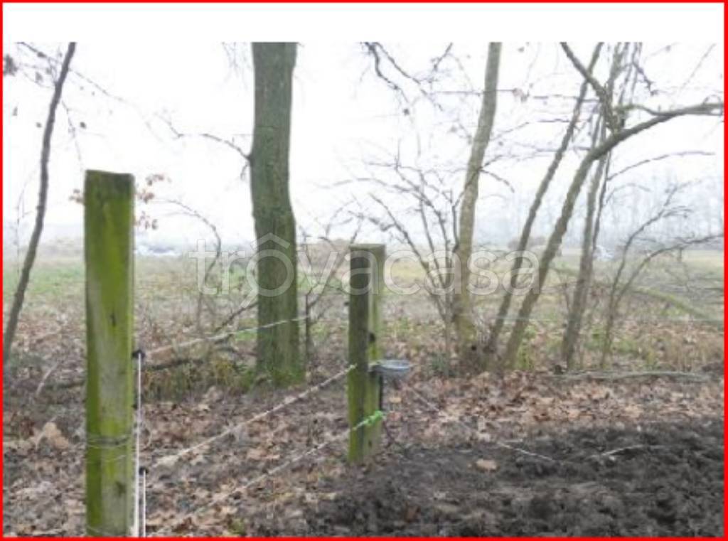 immagine annuncio 9 di 12