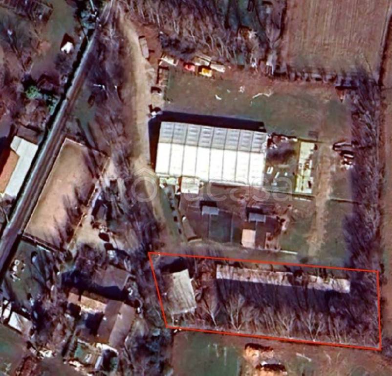 immagine annuncio 11 di 12