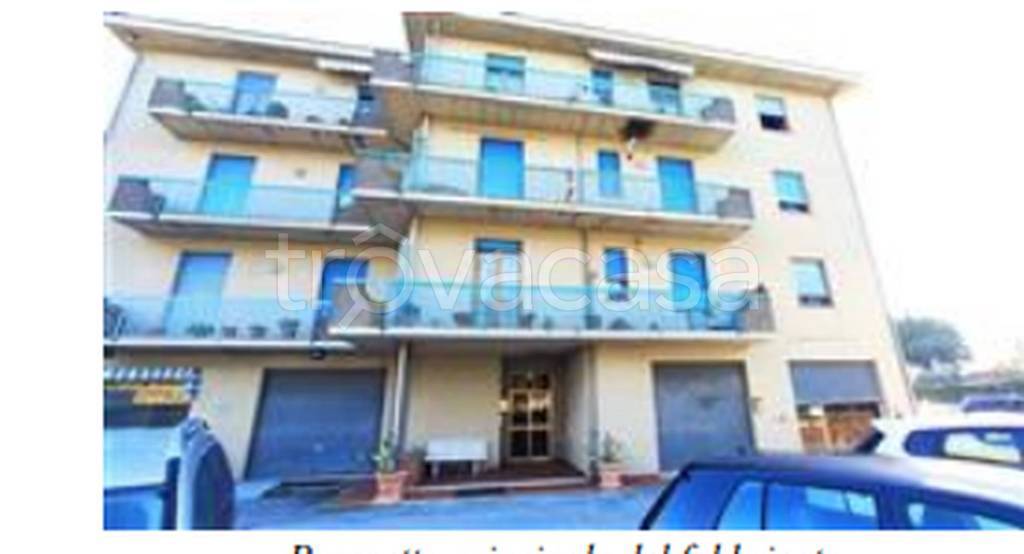 immagine annuncio 7 di 11