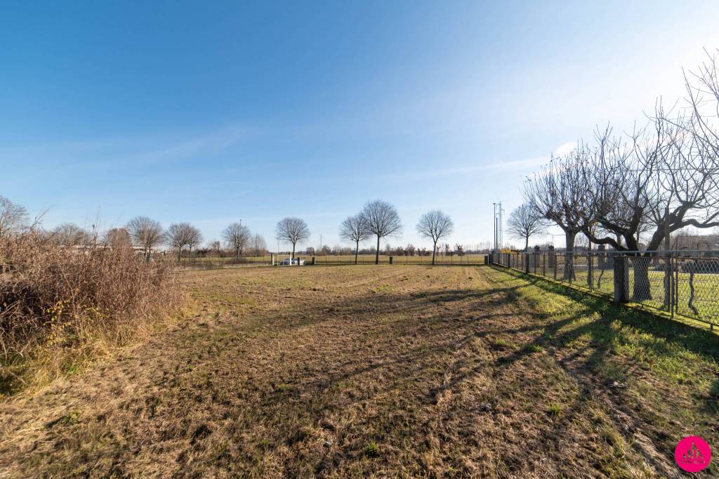 immagine annuncio 3 di 7