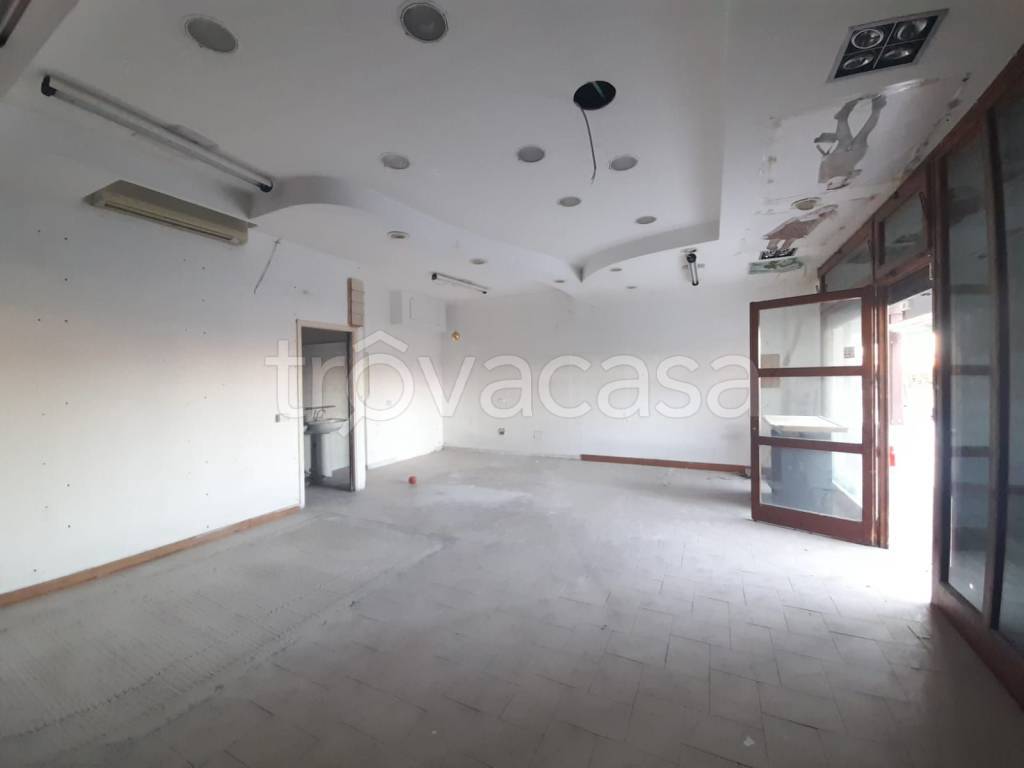 immagine annuncio 9 di 14