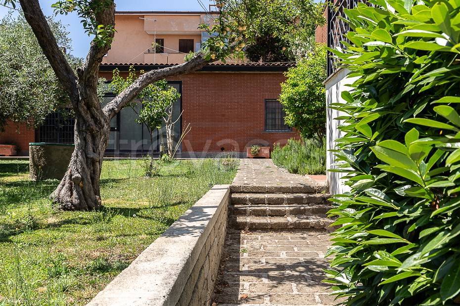 immagine annuncio 10 di 12