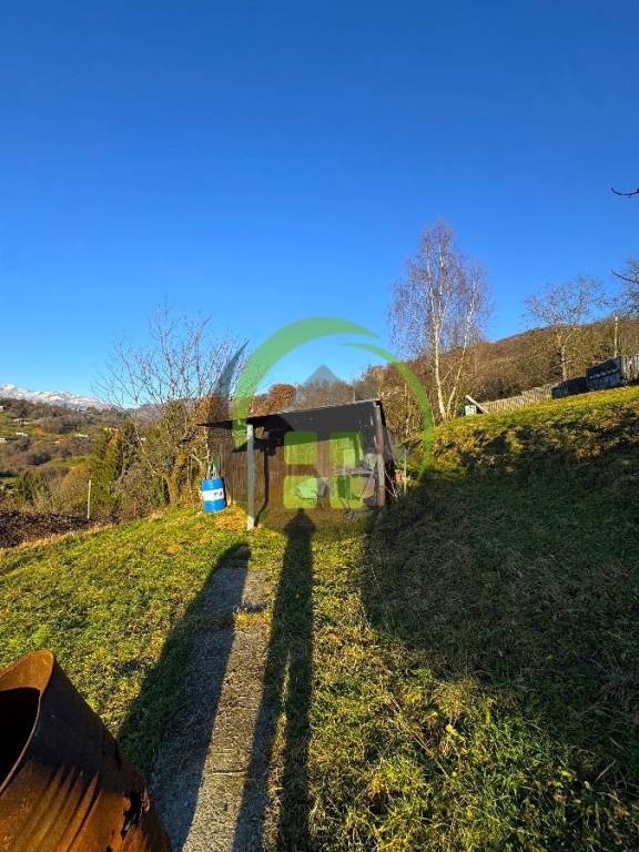 immagine annuncio 3 di 6