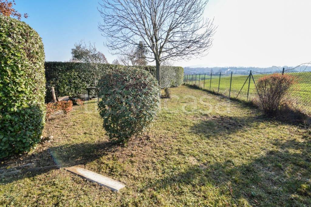 immagine annuncio 11 di 14