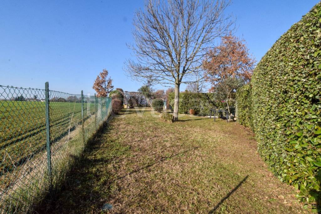 immagine annuncio 13 di 14