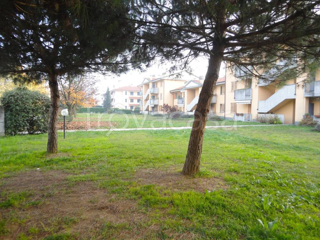 immagine annuncio 6 di 7