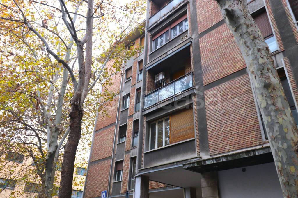 immagine annuncio 11 di 12