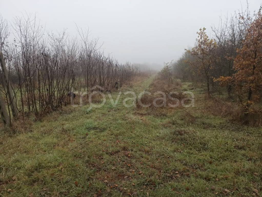 immagine annuncio 4 di 9