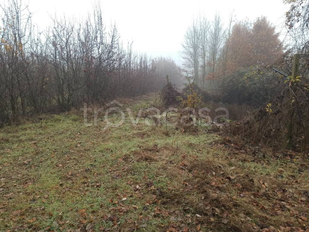 immagine annuncio 7 di 9