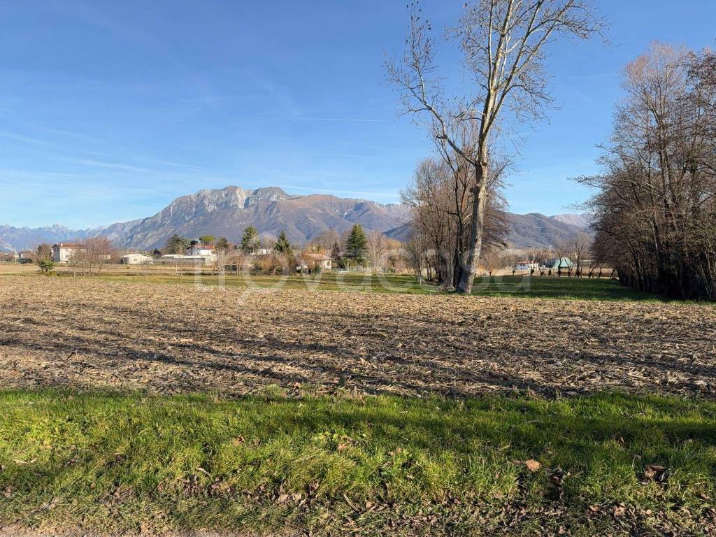 immagine annuncio 5 di 14