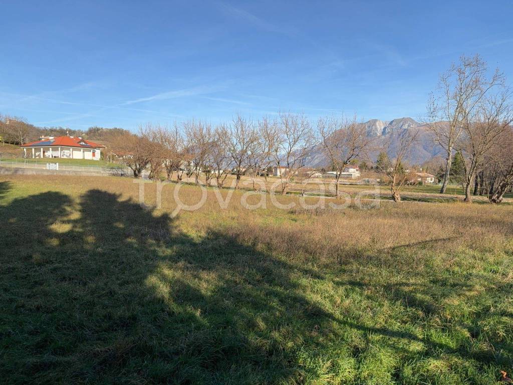 immagine annuncio 9 di 14