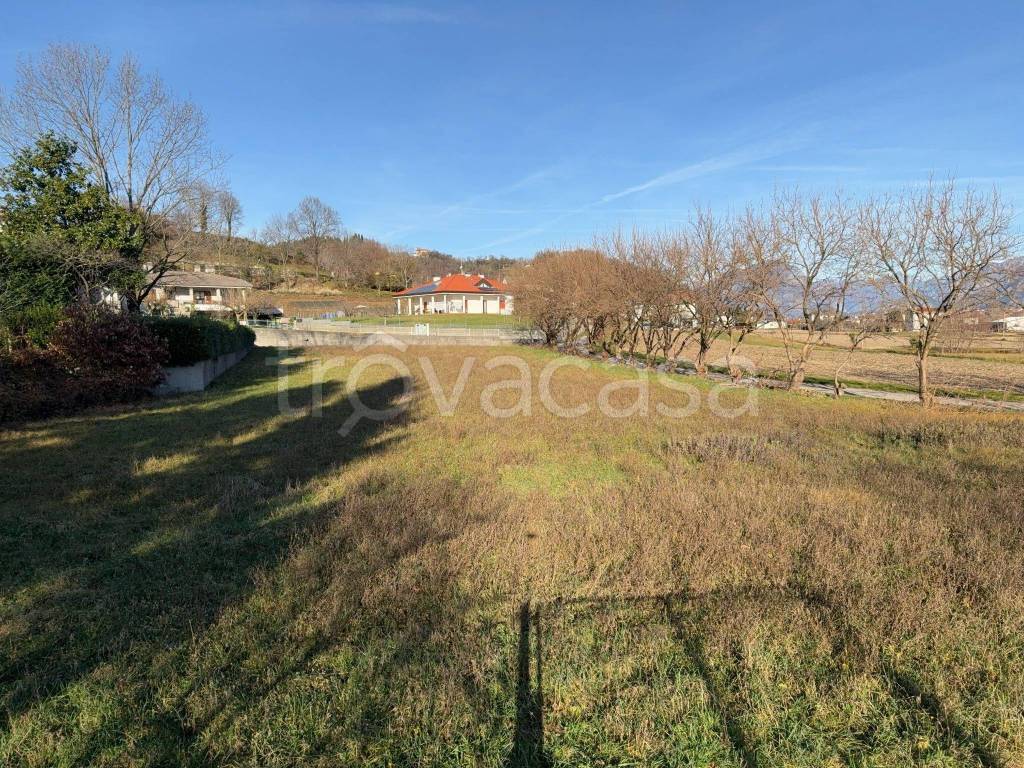 immagine annuncio 10 di 14