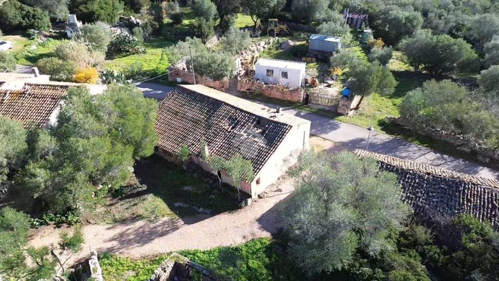 immagine annuncio 11 di 13