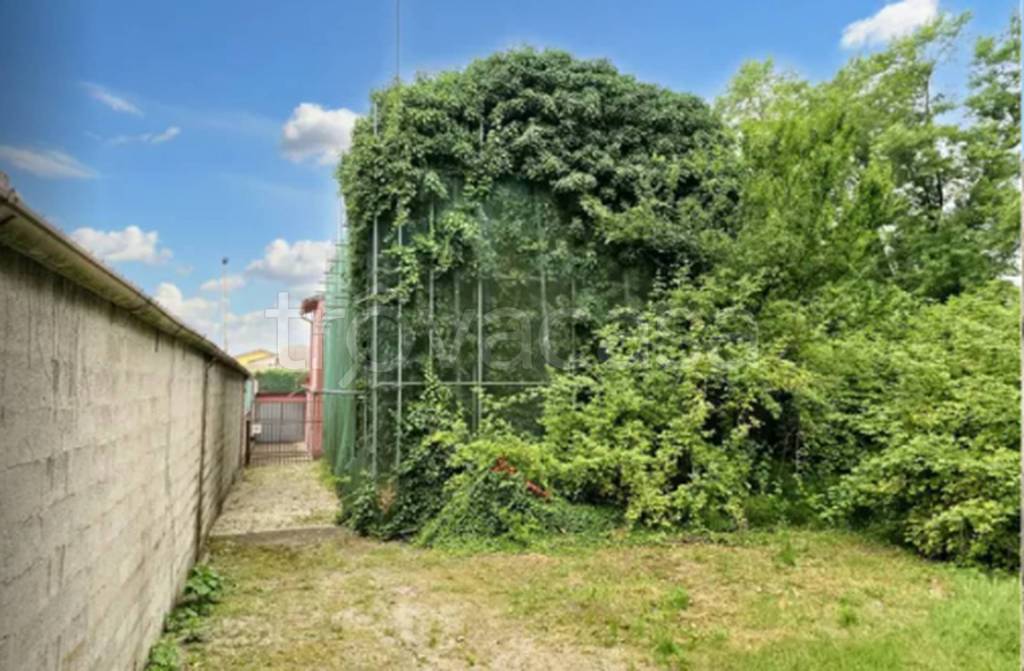 immagine annuncio 11 di 12